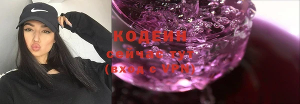 индика Нязепетровск