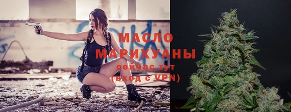 индика Нязепетровск