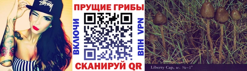 Псилоцибиновые грибы ЛСД  ссылка на мегу зеркало  Новая Усмань 
